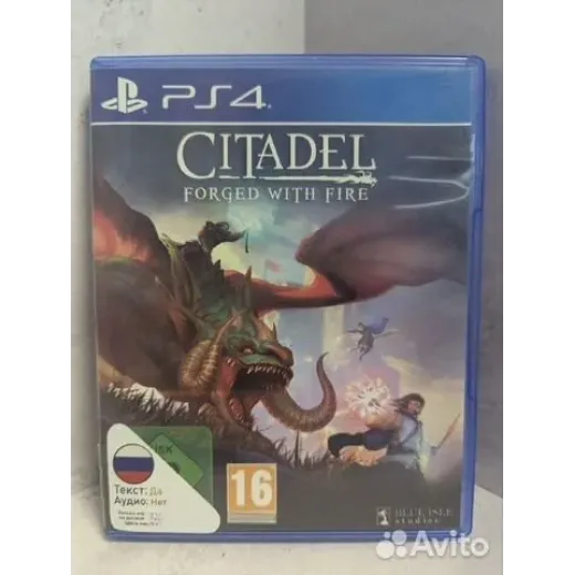 Citadel Forged With Fire PS4 (cusa-09097)