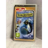 8062488756 — вид 2
